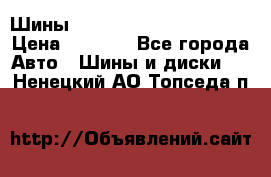 Шины bridgestone potenza s 2 › Цена ­ 3 000 - Все города Авто » Шины и диски   . Ненецкий АО,Топседа п.